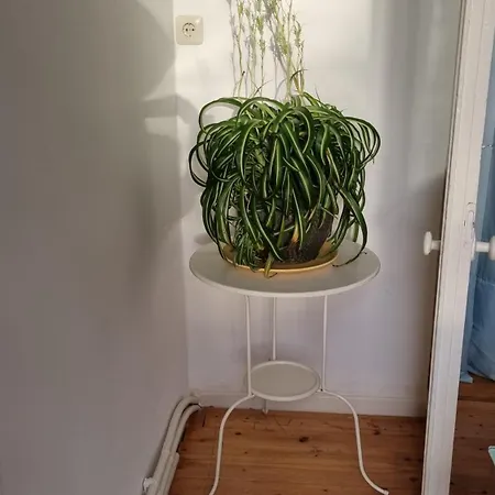 Studio- Kokon- Souterrain *