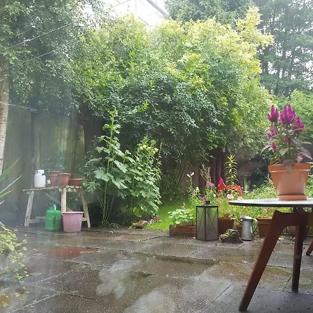 Studio- Kokon- Souterrain Appartement *