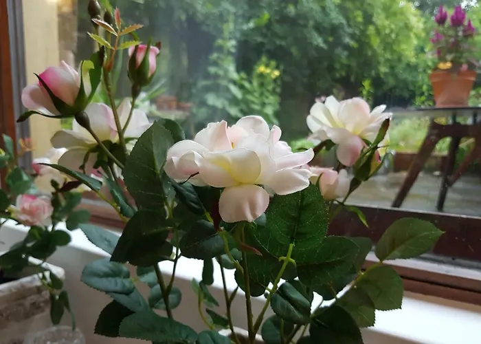 아파트 Studio- Kokon- Souterrain *